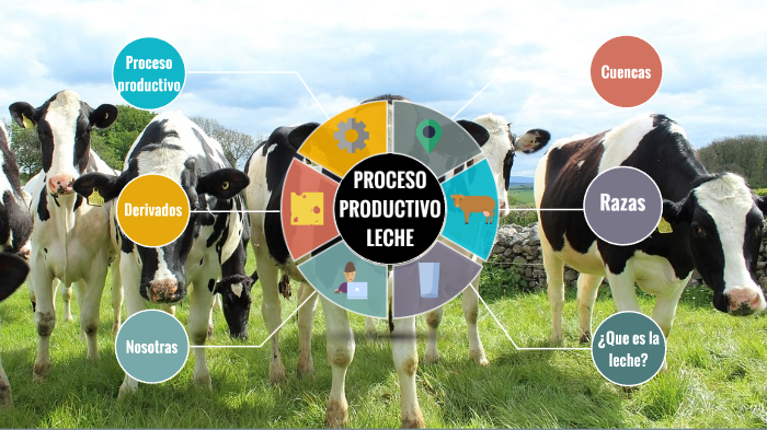 proceso productivo leche by lourdes Racamonde on Prezi