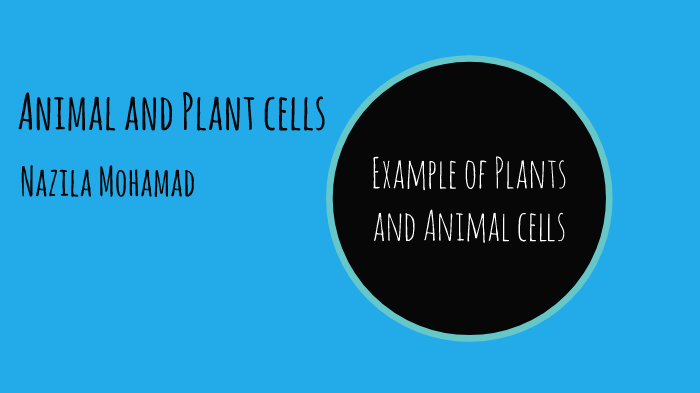 Animals and Plants cells by Nazila Mohamad on Prezi
