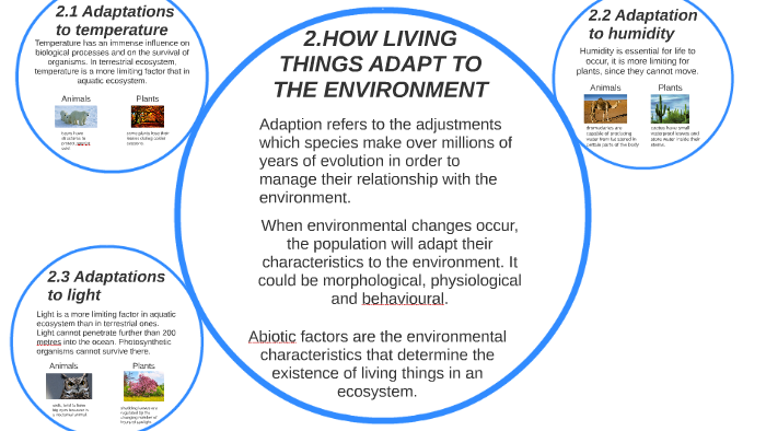 HOW LIVING THINGS ADAPT TO THE ENVIRONMENT By David Marco Ayensa On Prezi life-processes-ms-umile-s-science-bio-web