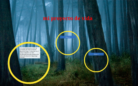 mi proyecto de vida by camilo ramirez on Prezi