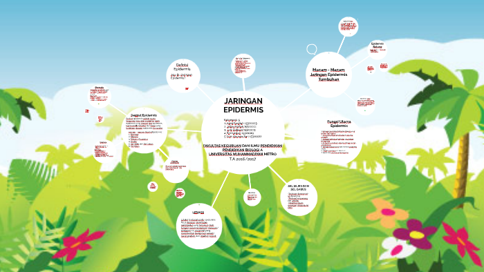 Definisi Epidermis By Julsa Arofian On Prezi