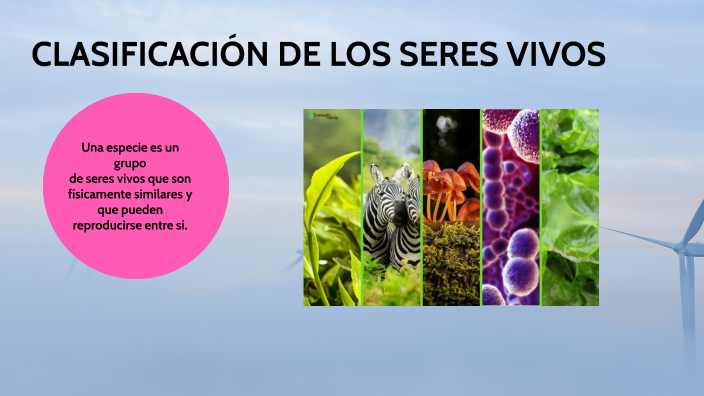 CLASIFICACIÓN DE LOS SERES VIVOS by Ruth CL on Prezi