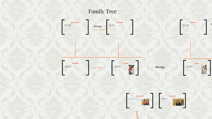 Family Tree by maryam Iftikhar