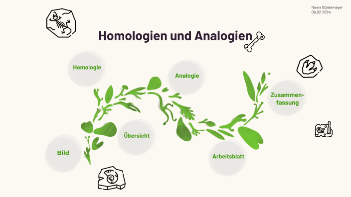 Homologien und Analogien by Neele Büntemeyer on Prezi