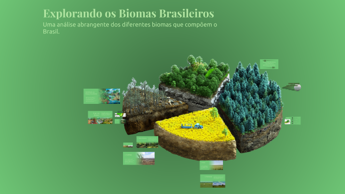 Explorando os Biomas Brasileiros by LD1KAUA on Prezi