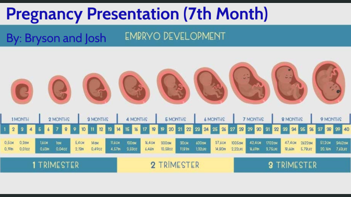 7th Month Pregnancy by Bryson Jones on Prezi