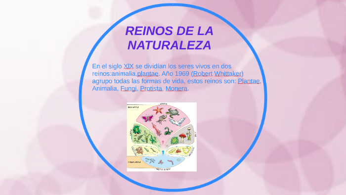 REINOS DE LA NATURALEZA by ashley sierra on Prezi
