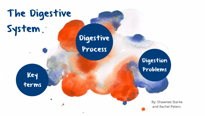 The Digestive System by Shawnee Starke on Prezi