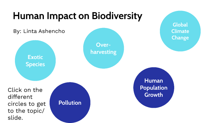 Human Impact On Biodiversity By LINTA ASHENCHO On Prezi