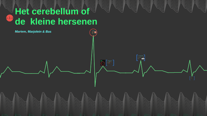 Het cerebellum of de kleine hersenen by Bas Houweling on Prezi