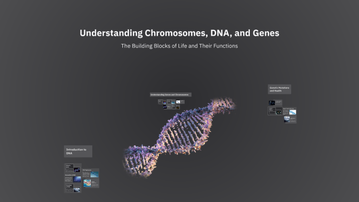 Understanding Chromosomes, DNA, and Genes by Morris Centeno on Prezi