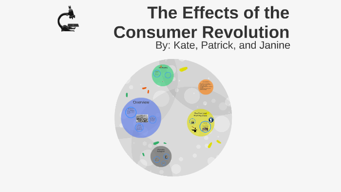 consumer revolution essay