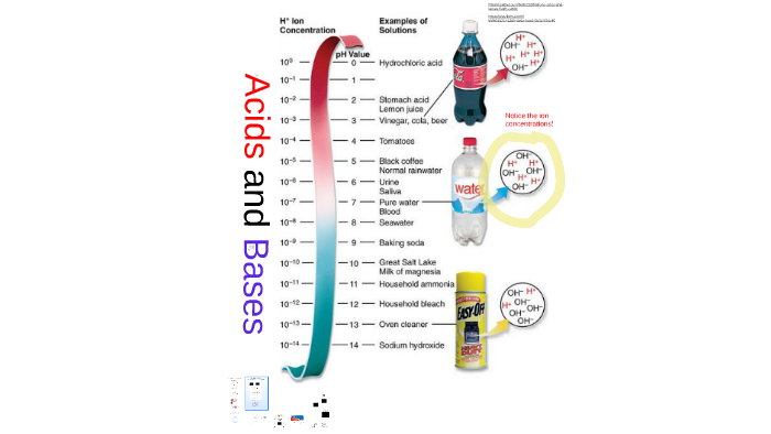 Acids and Bases by Kimberly Cribb on Prezi