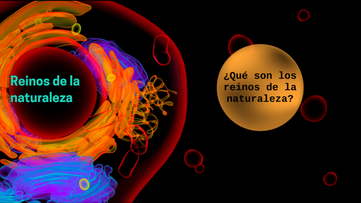 Reinos de la naturaleza by Steven Martinez on Prezi