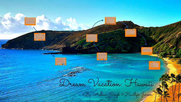 My dream summer vacation essay image