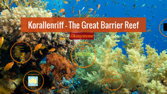 Korallenriff The Great Barrier Reef By Alina Zielasko On Prezi Next