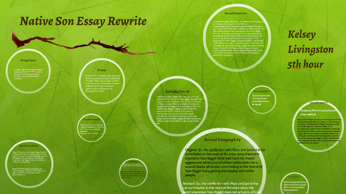 native son essay thesis