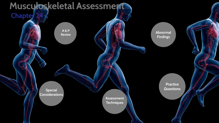 Chapter 24 Musculoskeletal By On Prezi