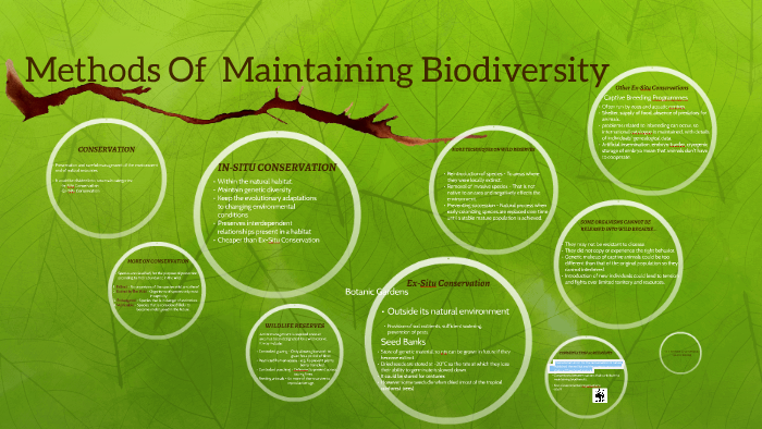 Methods Of Maintaining Biodiversity By Gordon Yiu On Prezi