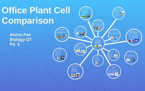 Office Plant Cell Comparison by Alvina Pan on Prezi