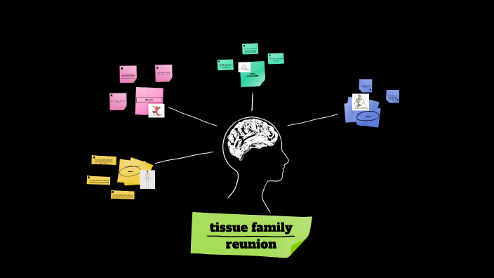 tissue family reunion essay example