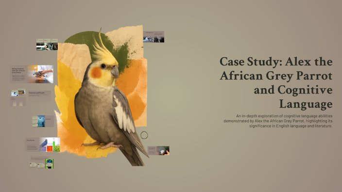 Case Study: Alex the African Grey Parrot and Cognitive Language by ...