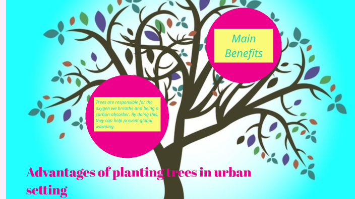Advantages of planting trees in urban setting by Kristina Mangum on Prezi