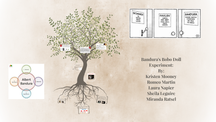 bobo doll experiment description