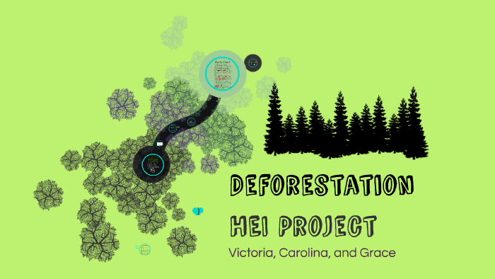 Solutions to Deforestation - Greenpeace USA