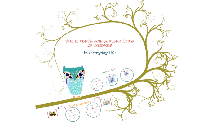 From Desert Survivors to Salt Pans: Real-Life Mastery of Osmosis in Everyday Life