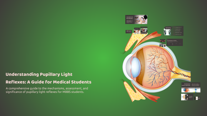Light Reflex Present Understanding Pupillary Light Reflexes: A Guide for Medical Students by ...