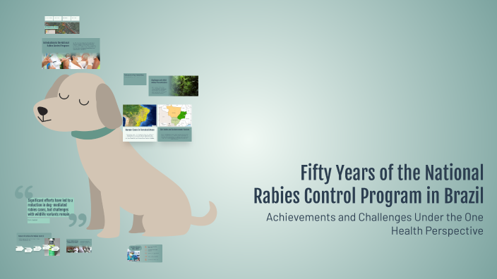 Brazil Rabies Maps Fifty Years of the National Rabies Control Program in Brazil by João ...