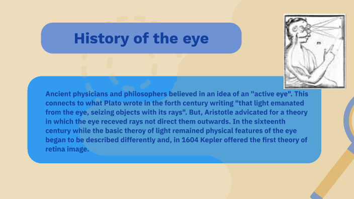 Anatomy of the eye by Jolene Stanford on Prezi