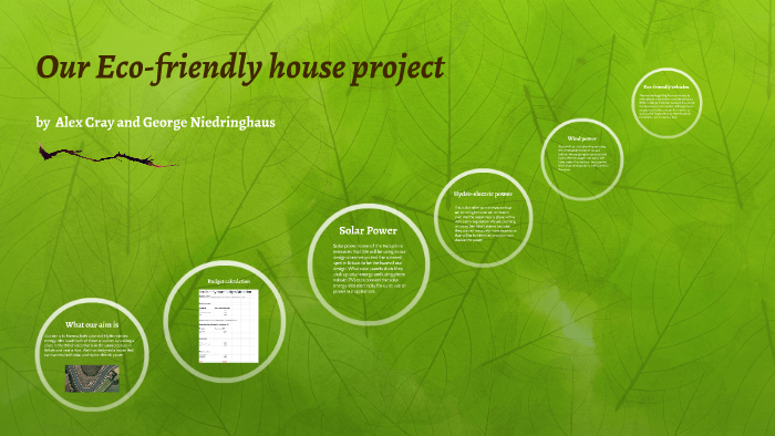 eco-house-project-eco-house-home-projects-projects