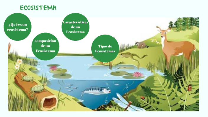 ECOSISTEMAS by Ahiza Cuzco on Prezi