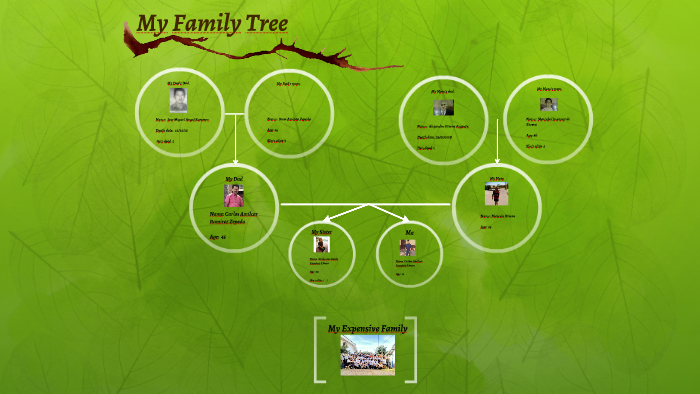 My Family Tree by Carlos Ramirez on Prezi