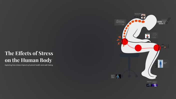 The Effects of Stress on the Human Body by Josselyn Gomez on Prezi