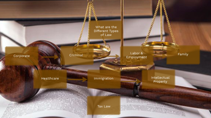 7 types of law