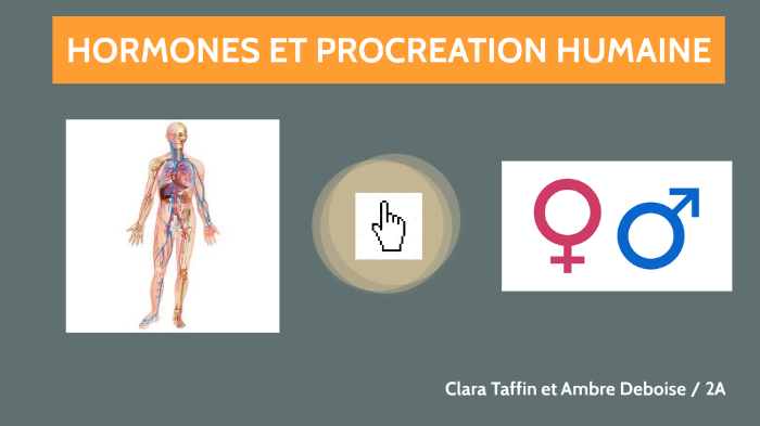 Hormones et procréation humaine by Ambre Deboise on Prezi