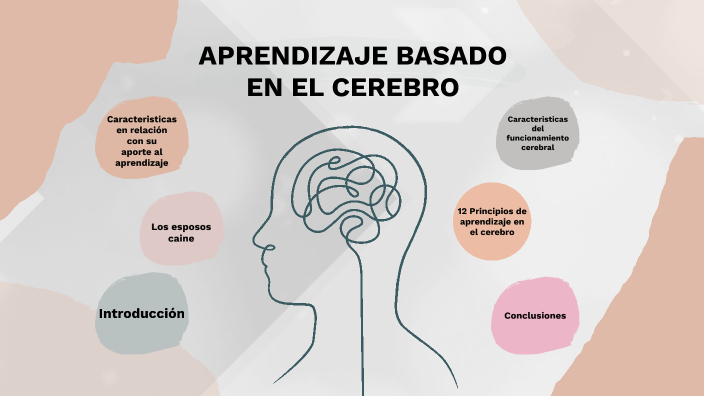 Aprendizaje basado en el cerebro by Alexandra ฅ on Prezi