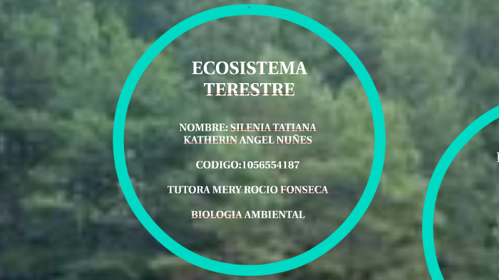 Ecosistema Terestre By Tatiana Angel