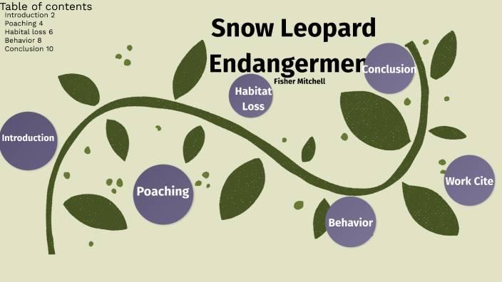 Snow Leopard Endangerment by Fisher Mitchell on Prezi
