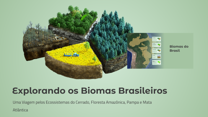 Explorando os Biomas Brasileiros by IsisBvaleria Oliveira on Prezi