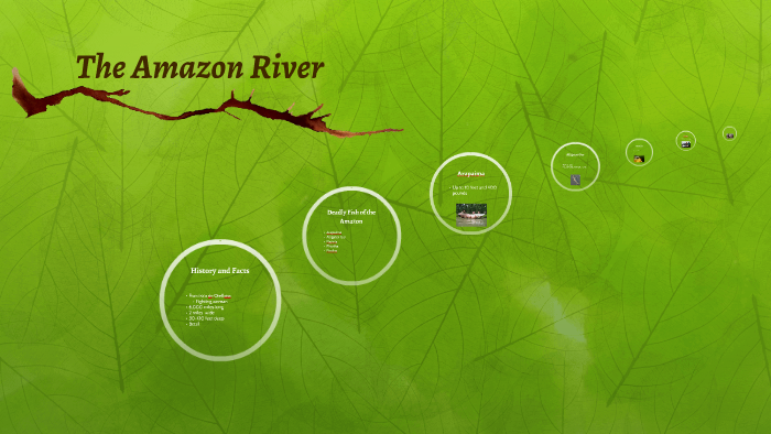 The Amazon River by elijah paulhamus on Prezi