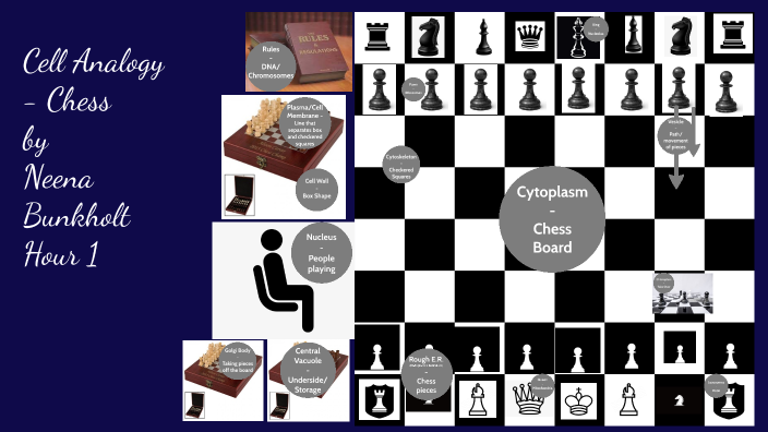 Pieces In Positions Of Power: A Chess Analogy