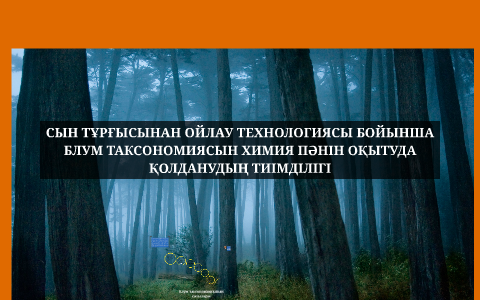 Сын тұрғысынан ойлау технологиясы презентация