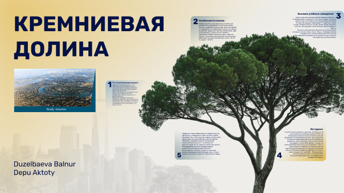 кремневая долина by Балнур Дузелбаева on Prezi Next