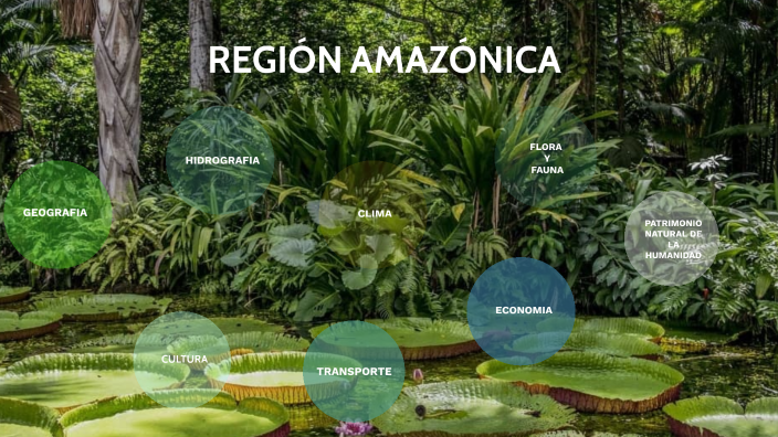 REGIÓN AMAZONICA by Maira Larrahondo on Prezi