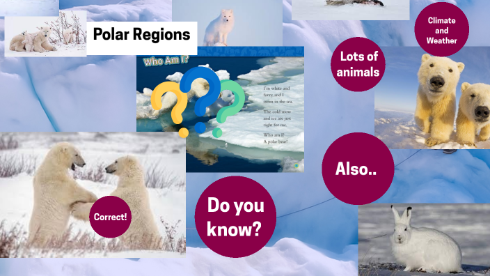 POLAR REGIONS by silvia bonilla on Prezi