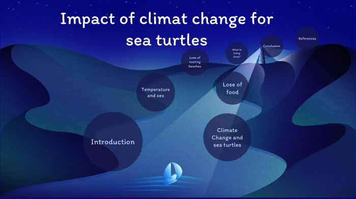 Sea turtles by Gabriela Sarmiento on Prezi